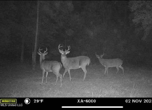 25002 Road 357, Kiln, MS 39556