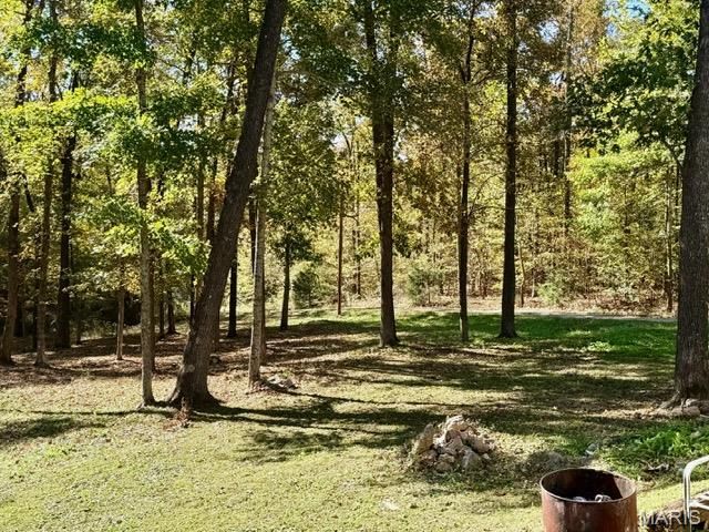 19910 BCR 458, Marble Hill, MO 63764