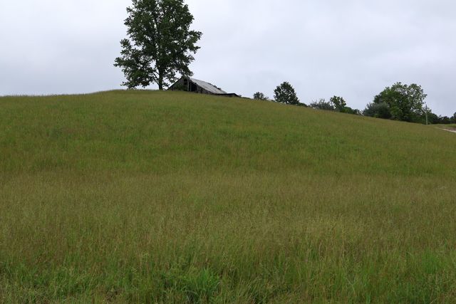 4135 Big Andy Ridge Road Tract 3, Rogers, KY 41365