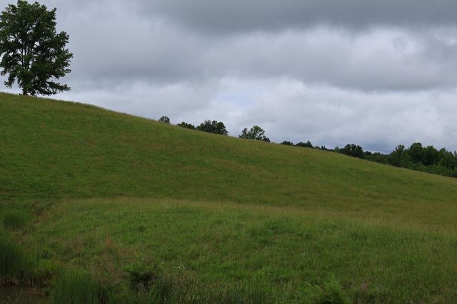 4135 Big Andy Ridge Road Tract 3, Rogers, KY 41365