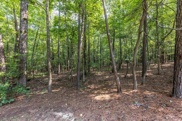 128 Janees Way, Midland, GA 31820