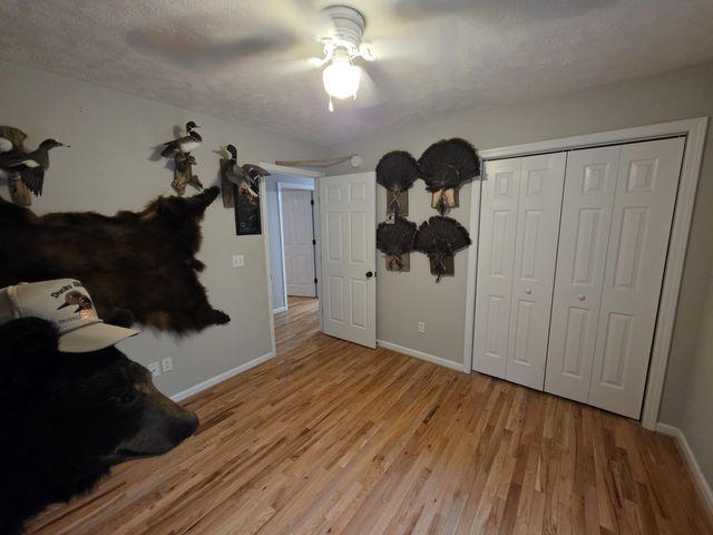 1200 Dawson Rd, White Bluff, TN 37187