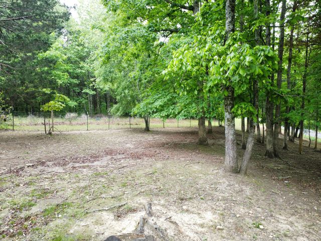 1200 Dawson Rd, White Bluff, TN 37187