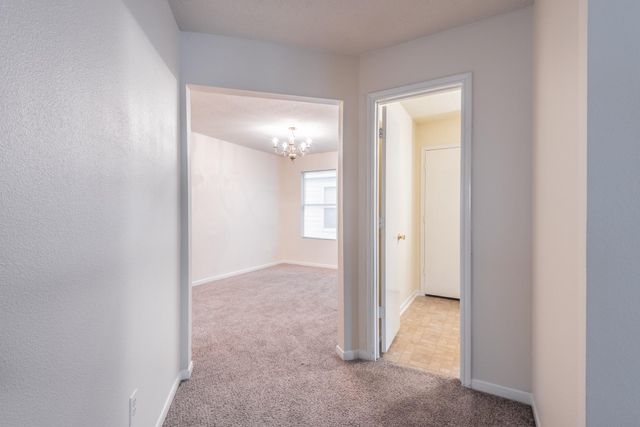 5007 Oak Stand Court, Katy, TX 77449