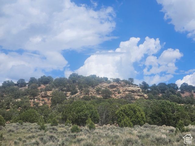 46388 W Airport Rd Unit 247, Fruitland, UT 84027