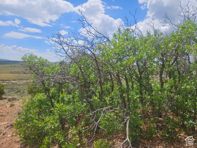 46388 W Airport Rd Unit 247, Fruitland, UT 84027