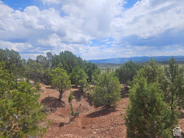 46388 W Airport Rd Unit 247, Fruitland, UT 84027