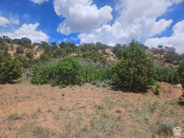 46388 W Airport Rd Unit 247, Fruitland, UT 84027