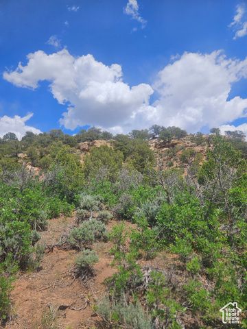 46388 W Airport Rd Unit 247, Fruitland, UT 84027