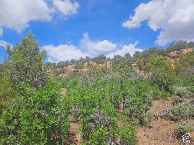 46388 W Airport Rd Unit 247, Fruitland, UT 84027