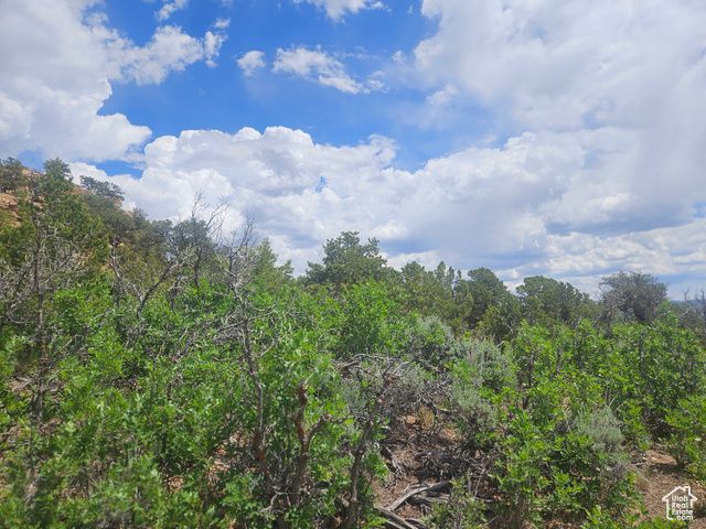 46388 W Airport Rd Unit 247, Fruitland, UT 84027