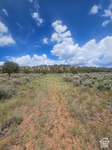 46388 W Airport Rd Unit 247, Fruitland, UT 84027