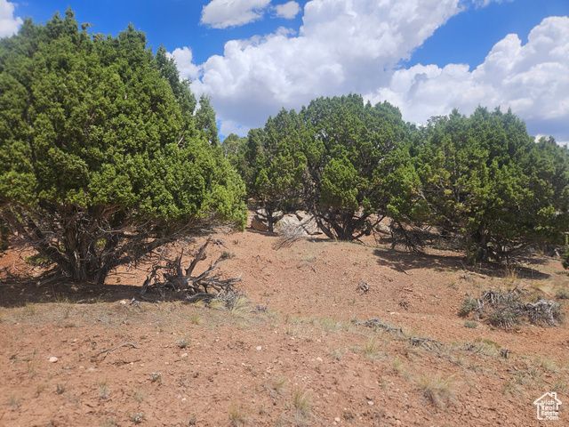 46388 W Airport Rd Unit 247, Fruitland, UT 84027