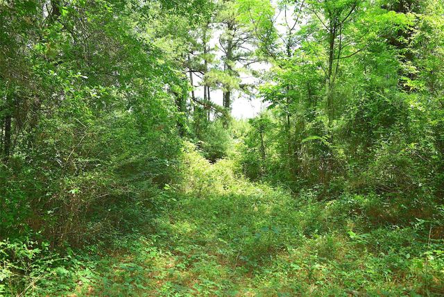 4414 Shady Lane, Huntsville, TX 77320