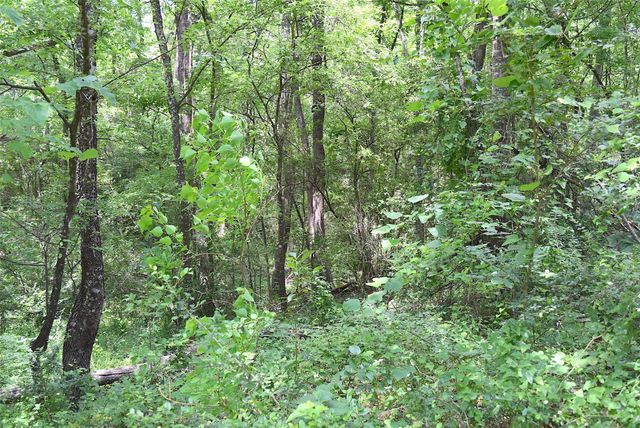 4414 Shady Lane, Huntsville, TX 77320