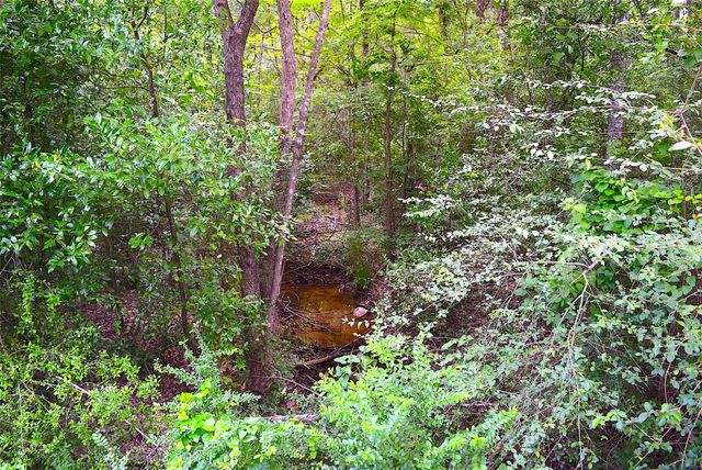 4414 Shady Lane, Huntsville, TX 77320