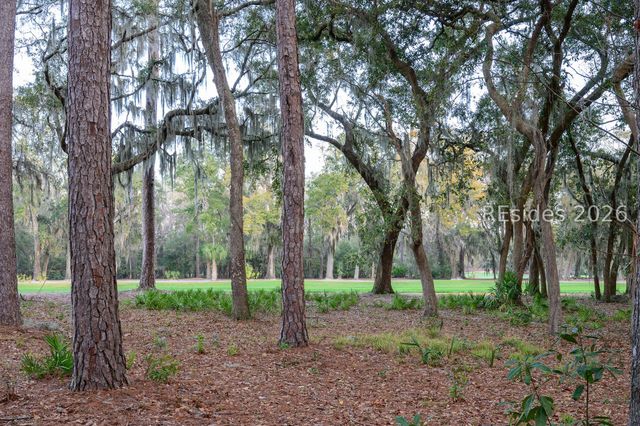 56 Blue Willow St, Bluffton, SC 29910