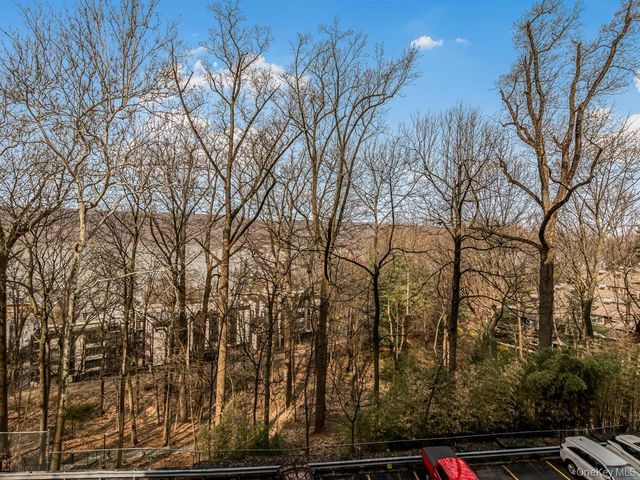 1 David Lane 1G, Hastings-on-hudson, NY 10701