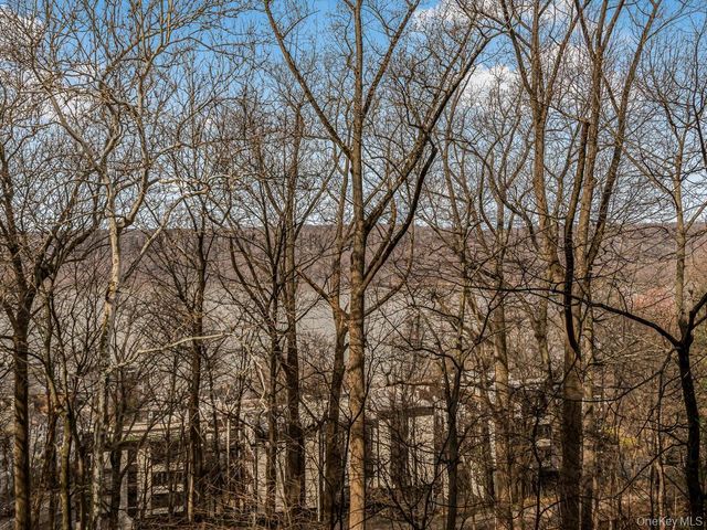 1 David Lane 1G, Hastings-on-hudson, NY 10701