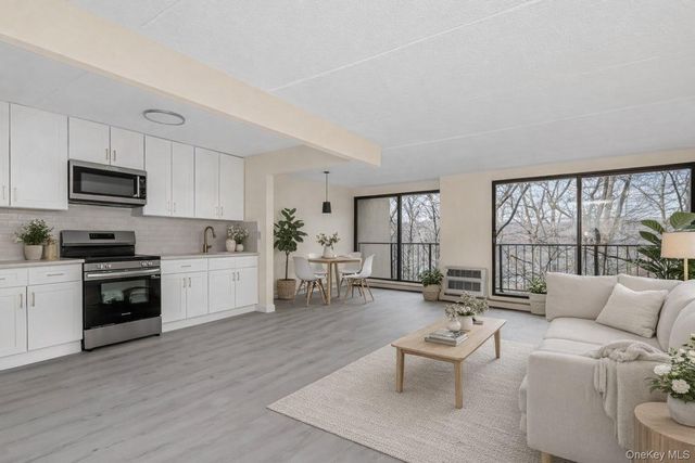 1 David Lane 1G, Hastings-on-hudson, NY 10701