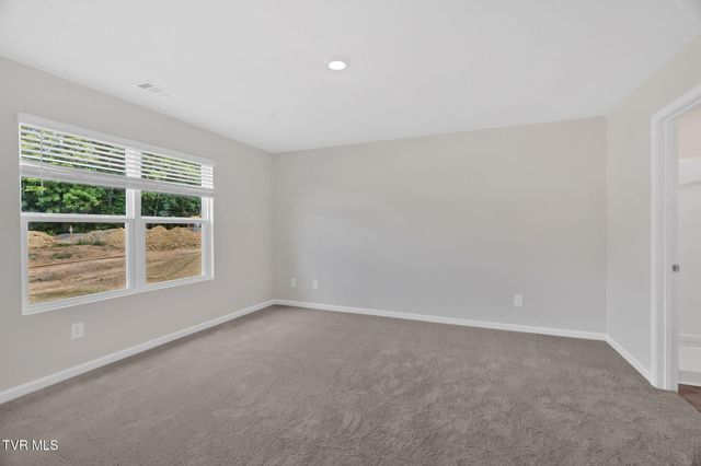 316 Chimney View Loop, Blountville, TN 37617