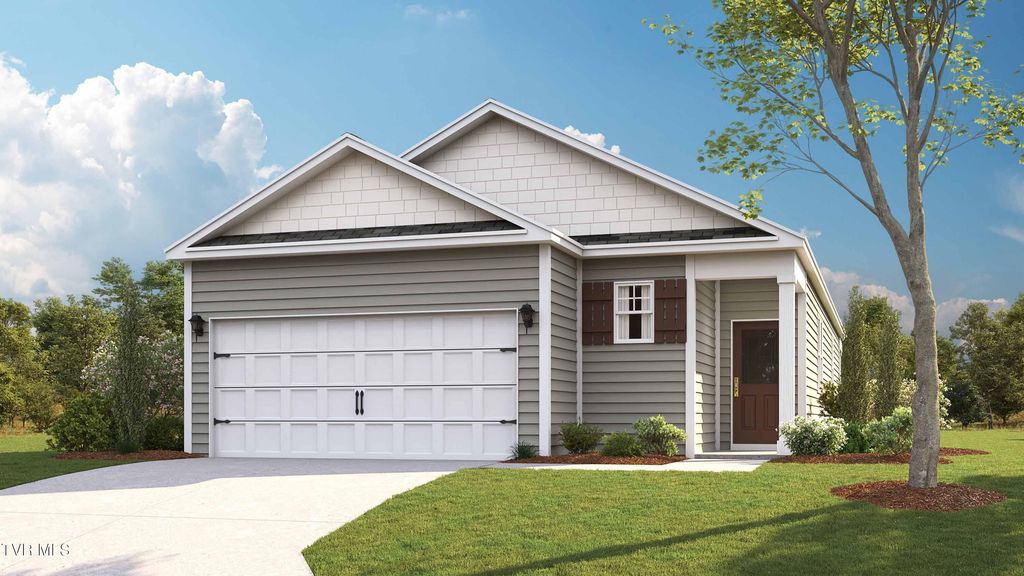 316 Chimney View Loop, Blountville, TN 37617