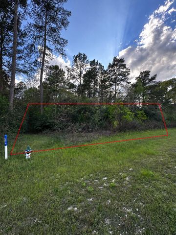 7-23-51 Sky Oak Lane, Huntsville, TX 77340