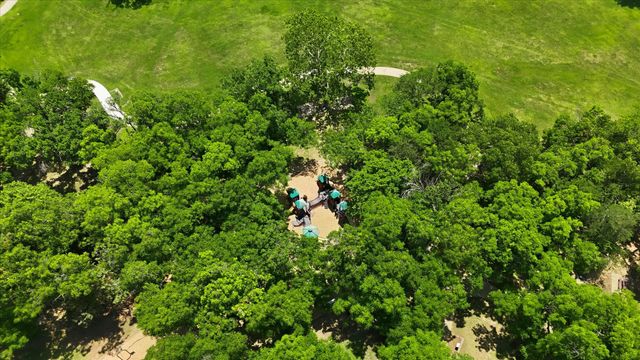 1809 Water Oak Drive, Lewisville, TX 75067