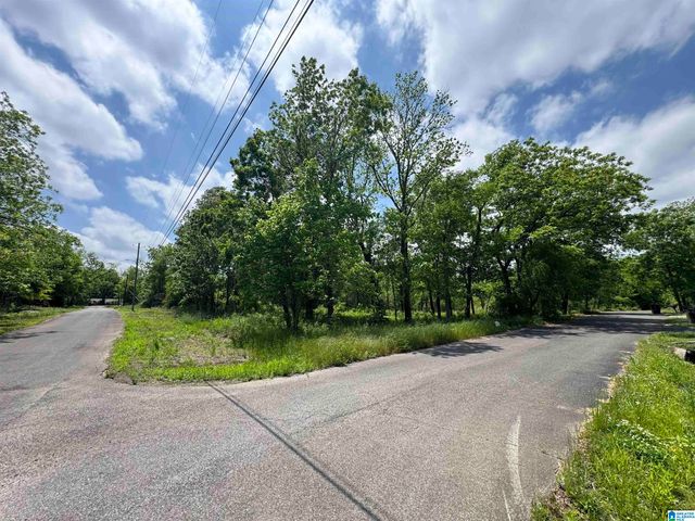 5501 BLOSSOM AVENUE, Birmingham, AL 35228