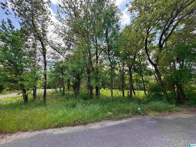 5501 BLOSSOM AVENUE, Birmingham, AL 35228