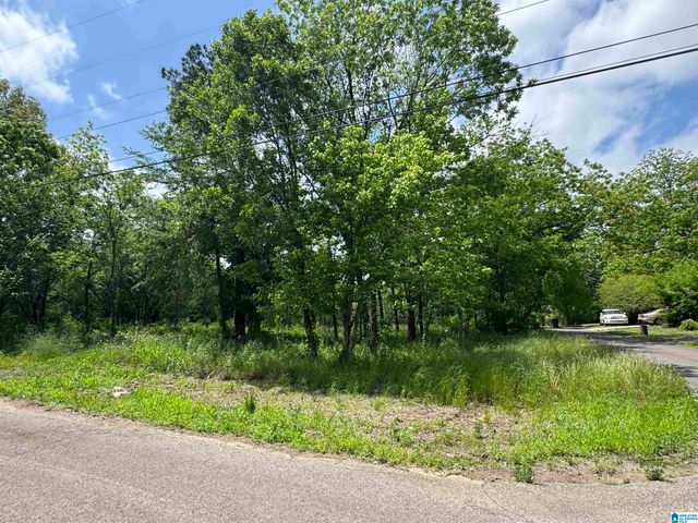 5501 BLOSSOM AVENUE, Birmingham, AL 35228