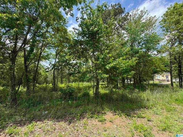 5501 BLOSSOM AVENUE, Birmingham, AL 35228