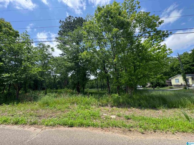 5501 BLOSSOM AVENUE, Birmingham, AL 35228