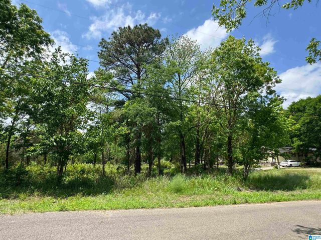 5501 BLOSSOM AVENUE, Birmingham, AL 35228