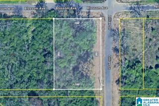 5501 BLOSSOM AVENUE, Birmingham, AL 35228
