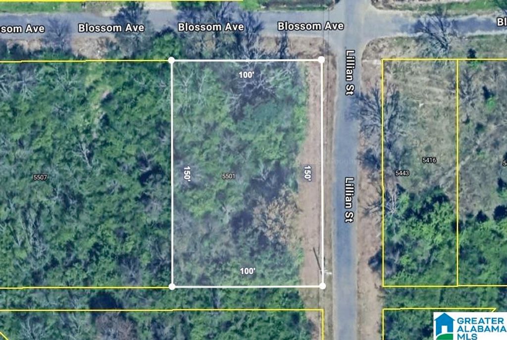5501 BLOSSOM AVENUE, Birmingham, AL 35228