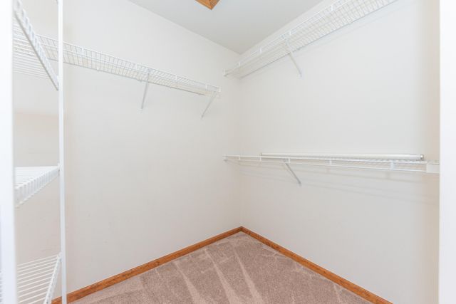 388 Rosebud Lane, Saline, MI 48176