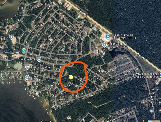 000 Honeysuckle, Livingston, TX 77351