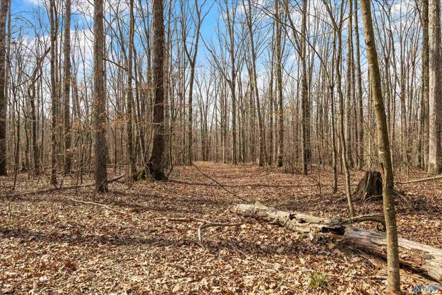 19845 Townsend Ford Road, Athens, AL 35614