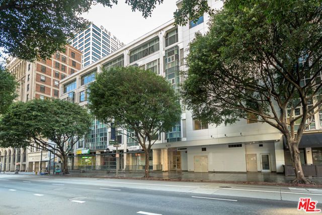 630 W 6th Street 207, Los Angeles, CA 90017