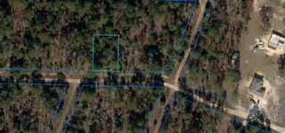 TBD NE 11TH PLACE, Williston, FL 32696