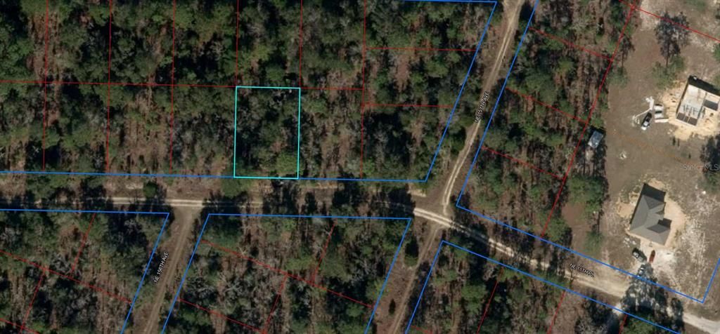 TBD NE 11TH PLACE, Williston, FL 32696