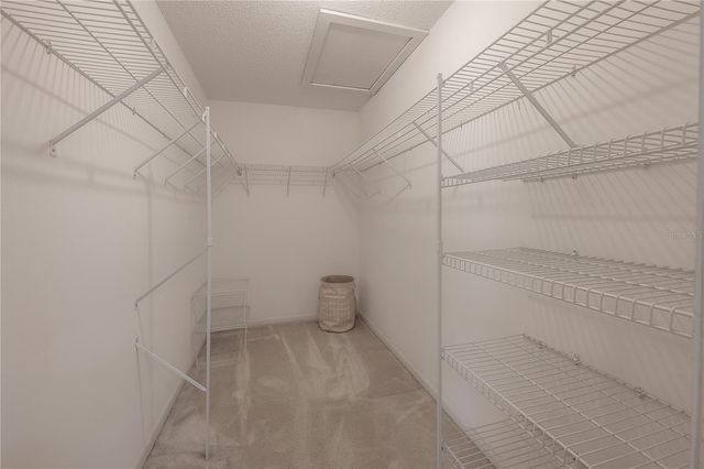 4206 GOLF CLUB LANE, Tampa, FL 33618