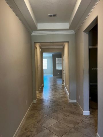 25195 LAMBRUSCO LOOP, Lutz, FL 33559