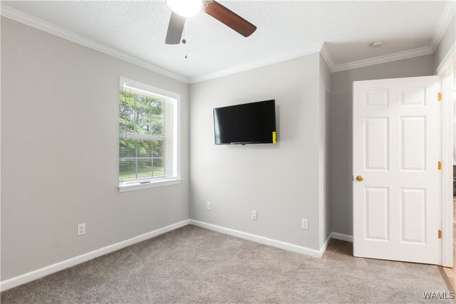 445 11th SE, Gordo, AL 35466