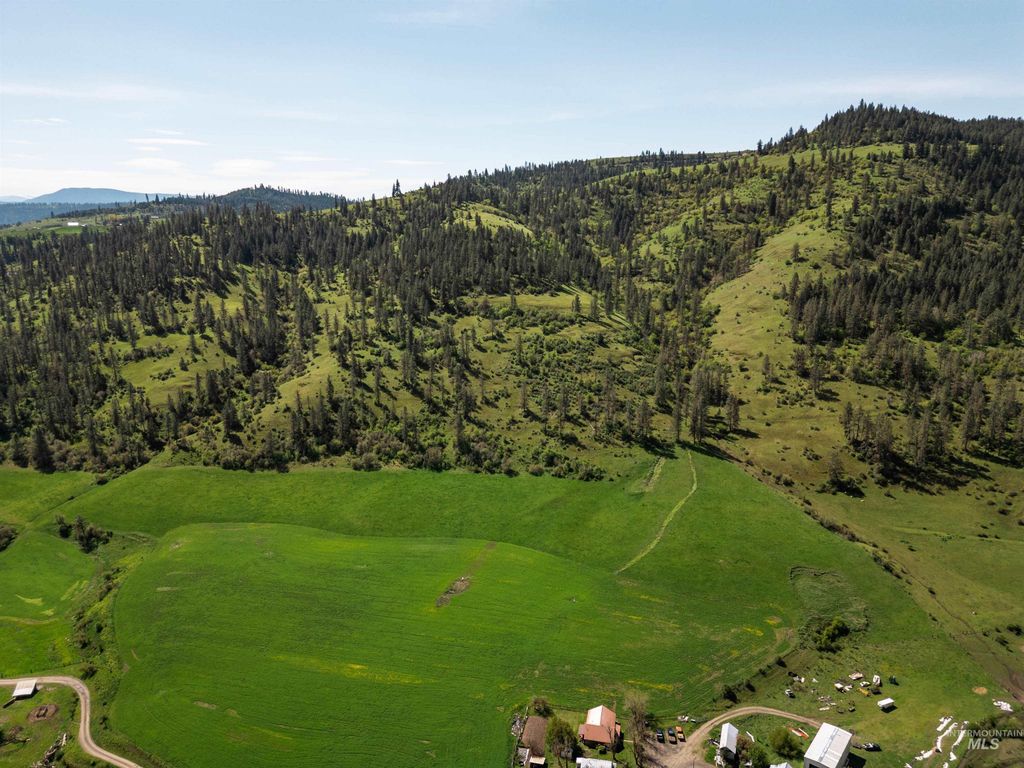 259 Cottonwood Creek Ranch, Stites, ID 83552 photo 14