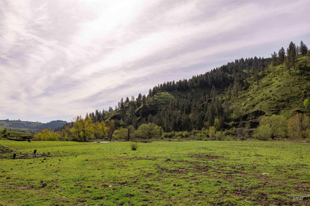 259 Cottonwood Creek Ranch, Stites, ID 83552 photo 15
