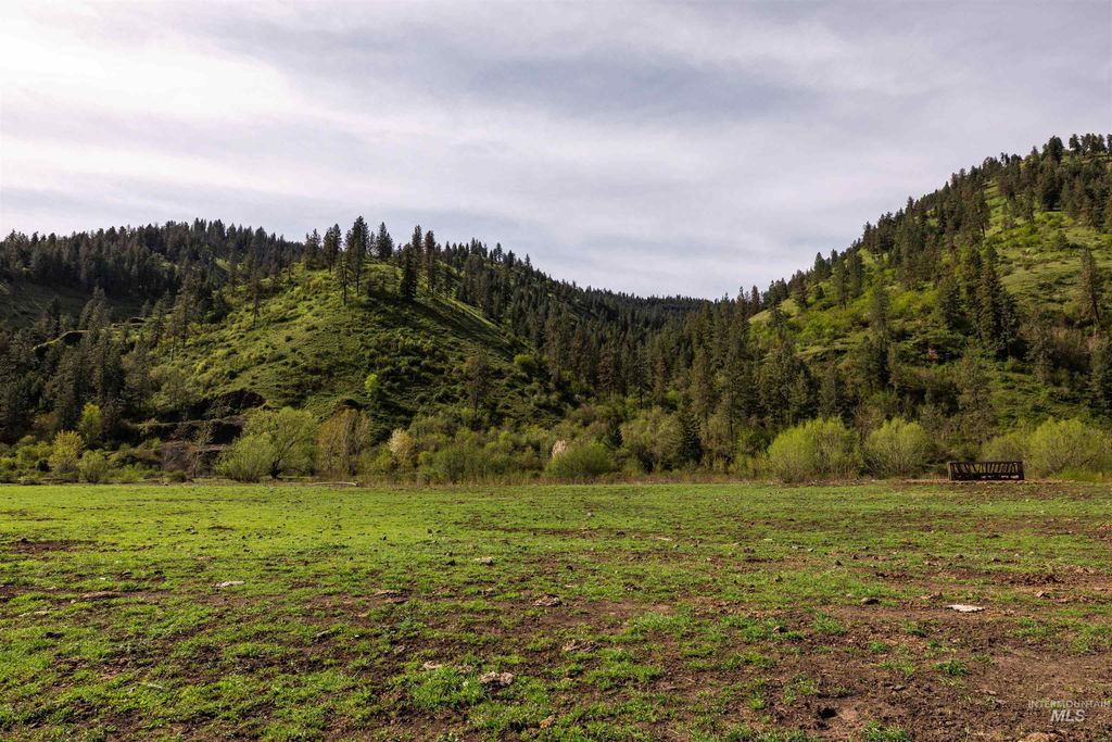 259 Cottonwood Creek Ranch, Stites, ID 83552 photo 16