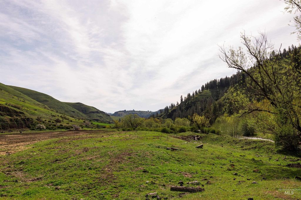 259 Cottonwood Creek Ranch, Stites, ID 83552 photo 18
