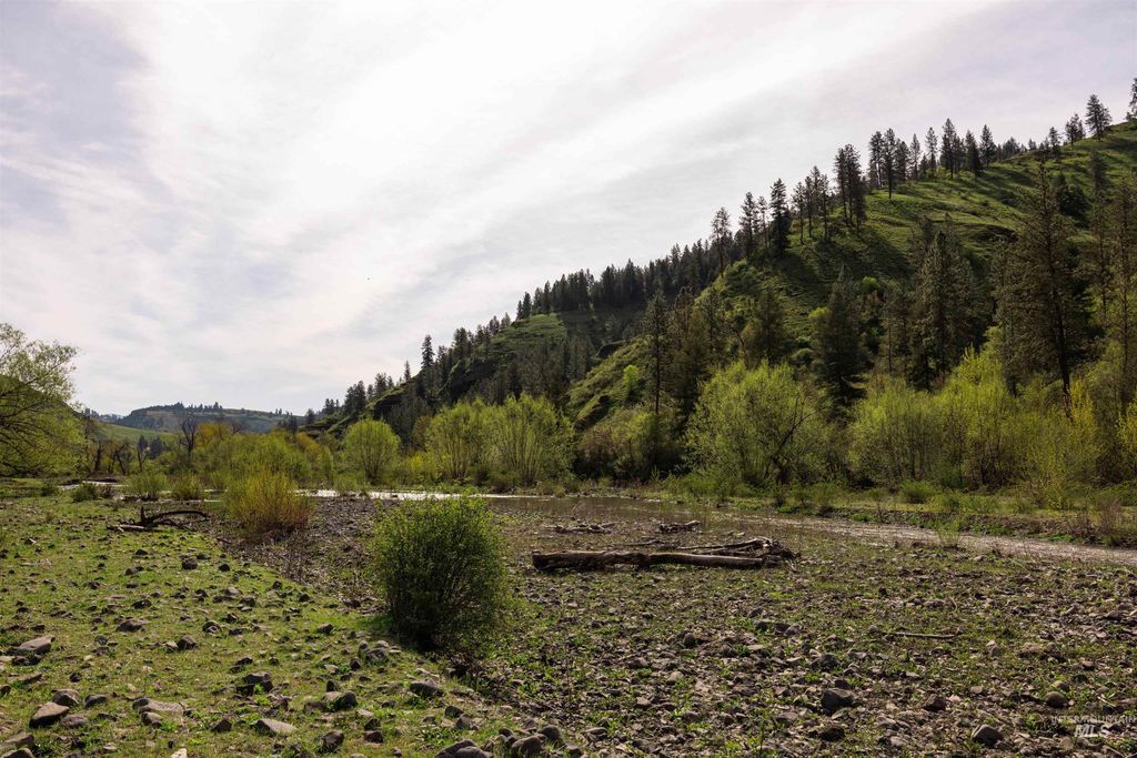 259 Cottonwood Creek Ranch, Stites, ID 83552 photo 19